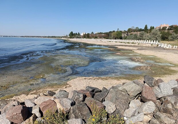 Забруднення моря у Крижанівці. 