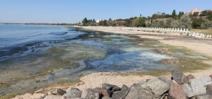 Почорніння моря в Одеському районі: що виявили екологи