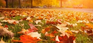 Бабине літо: яка погода буде в Одесі наступного тижня