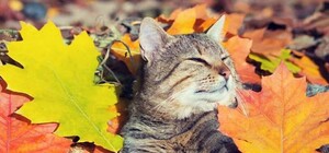 Вересень у самому розпалі: яка погода буде в Одесі цими вихідними