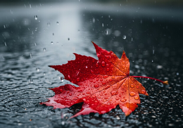 Осінній листочок. 