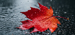 Не обійдеться без дощу: яка погода буде в Одесі наступного тижня