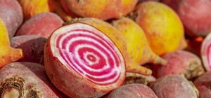 Де на цьому тижні у Києві пройдуть продуктові ярмарки. Адреси