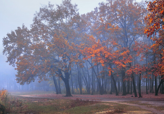 Туманна осінь. 