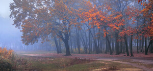 З туманами та прохолодними ночами: яка погода буде в Одесі наступного тижня