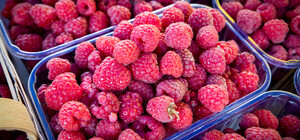 Де на цьому тижні у Києві пройдуть продуктові ярмарки. Адреси