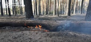 В Харьковской области горят леса