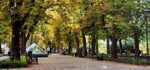 Уже прохолодно: яка погода буде в Одесі цими вихідними