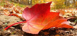 Перші дні жовтня: яка погода буде в Одесі наступного тижня