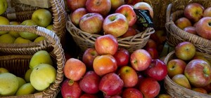 Де цими вихідними у Києві пройдуть продуктові ярмарки. Адреси