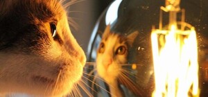 В одному з районів Харкова у суботу відключать світло: адреси