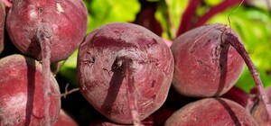 Де цими вихідними у Києві пройдуть продуктові ярмарки. Адреси