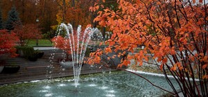 Туман і невеликі дощі: яка погода буде у Харкові цими вихідними