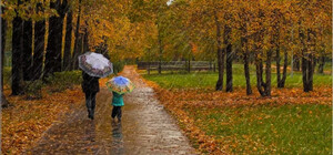 Без холодів, але з дощами: яка погода буде в Одесі наступного тижня