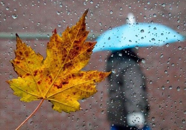 Осінній дощ. 