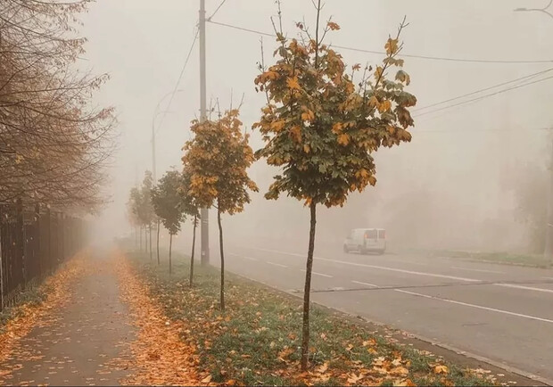 Туманна осінь. 