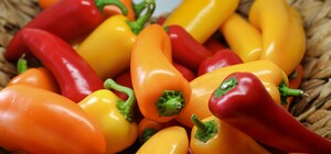 Де цими вихідними у Києві пройдуть продуктові ярмарки. Адреси