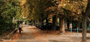 Тепло до +18 °С, але з дощами: яка погода буде в Одесі цими вихідними