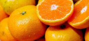 Де на цьому тижні у Києві пройдуть продуктові ярмарки. Адреси