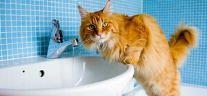 Через борги: стало відомо, у якому районі Дніпра відключать воду наступного тижня