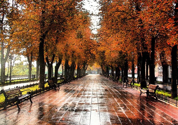 Какая погода в Одессе на выходные: прогноз на 1 и 2 ноября 