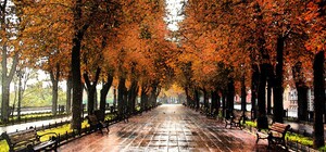 Яка буде погода в Одесі на вихідні: прогноз на 1 і 2 листопада