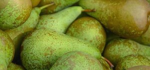 Де на цьому тижні у Києві пройдуть продуктові ярмарки. Адреси