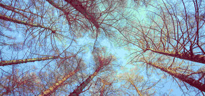 До 14 градусів тепла: яка погода буде у Харкові цими вихідними