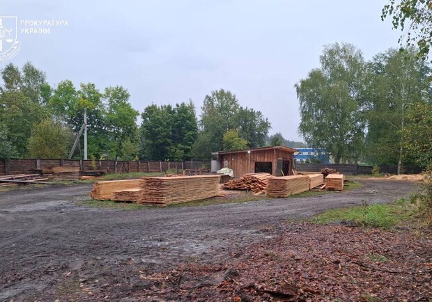 На Одещині перекрили канал контрабанди лісу до Молдови: серед підозрюваних — депутат 