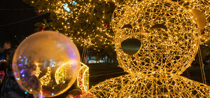 Магия среди тьмы: ILLUMINARIUM возвращается на ВДНГ со сказочными световыми инсталляциями