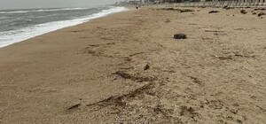 На Одещині виявили забруднення узбережжя: де саме та чим