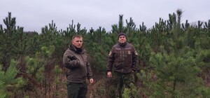 В Харьковской области начали патрулировать леса: с какой целью