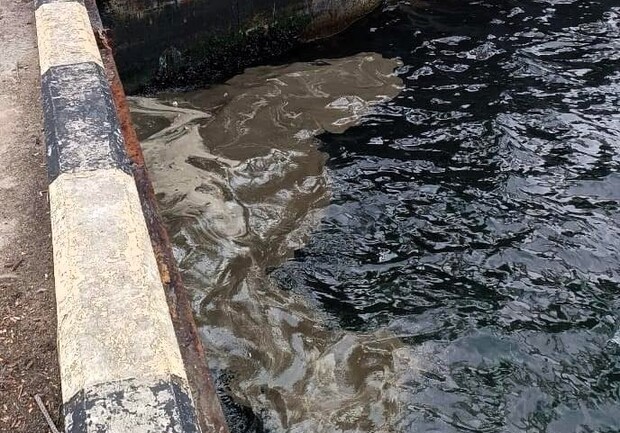 Забруднення води в Сухому лимані. 