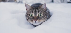 До -7 °С и первый снег: какая погода будет в Одессе на следующей неделе