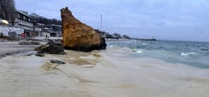 Пятна и мертвые птицы: на пляжах Одессы обнаружили загрязнение