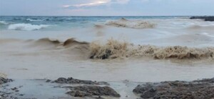 Наслідок ударів по порту Південний: узбережжя Одеси забруднила соняшникова олія