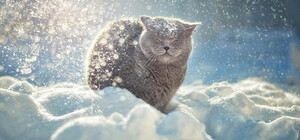 Сніг, слизько та до -13 °С: яка погода буде в Одесі цими вихідними