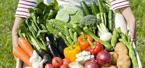 Фермери півдня України щороку втрачають сотні мільйонів доларів через нестачу води: що стало причиною 