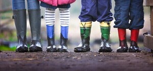 Посівний календар на березень 2026 року: що робити у саду та на городі 