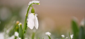 Ще з морозами: яка погода буде в Одесі цими вихідними