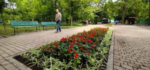 В Одесі на озеленення клумб планують витратити понад 815 тисяч гривень