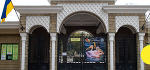 Зоопарк можуть перенести: в Одесі виникла нова ідея, але керівництво проти