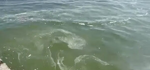 В Одессе в море возле Ланжерона и Отрады обнаружили пятна с запахом масла: что это такое