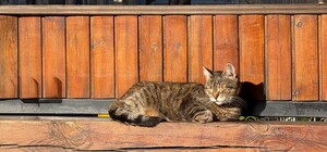 Перші дні квітня: яка погода буде в Одесі цими вихідними