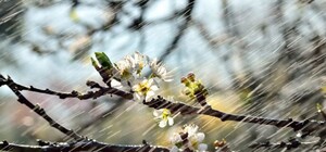 До +19 °С, але не без дощів: яка погода буде в Одесі цими вихідними