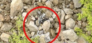 В Запорожье мужчину приговорили к пожизненному за убийство трех человек: детали дела