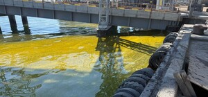 Из-за удара по порту на Одесщине в море попали тонны подсолнечного масла