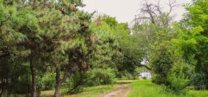 В Одессе вернули в государственную собственность землю возле Савицкого парка