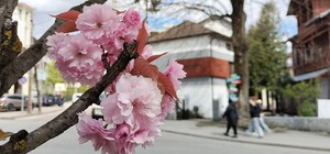 Вихідні в Україні у травні 2026: скільки відпочиватимемо 