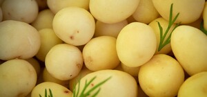 Де на цьому тижні у Києві пройдуть продуктові ярмарки. Адреси